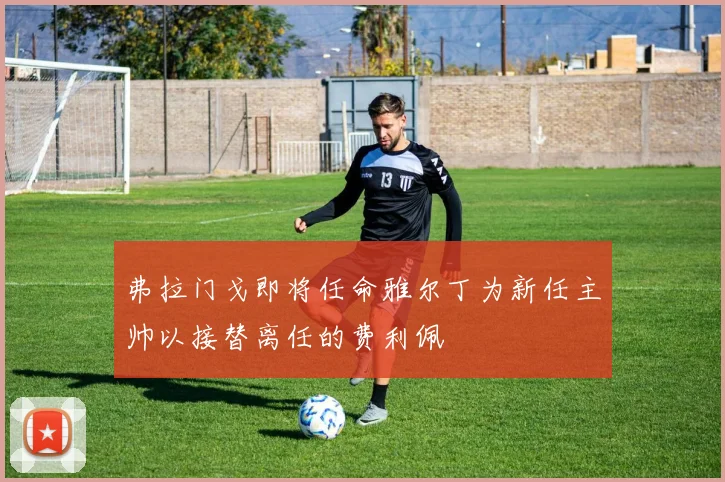 弗拉门戈即将任命雅尔丁为新任主帅以接替离任的费利佩